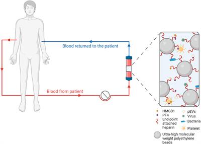 Activated Platelets and Platelet-Derived Extracellular Vesicles Mediate COVID-19-Associated Immunothrombosis